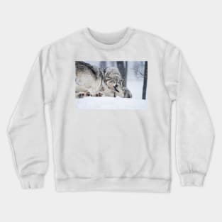 Timber Wolves Crewneck Sweatshirt